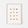 Mushie Plakat Dinosaurs - Large