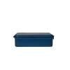 Citron Grand Lunchbox z Termosem - Blue Dino